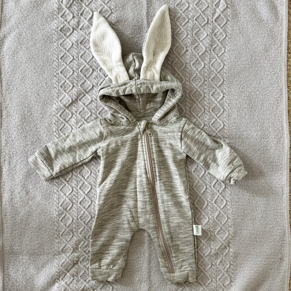 Gray Baby Zippy Jumpsuit with Hood & Bunny Ears